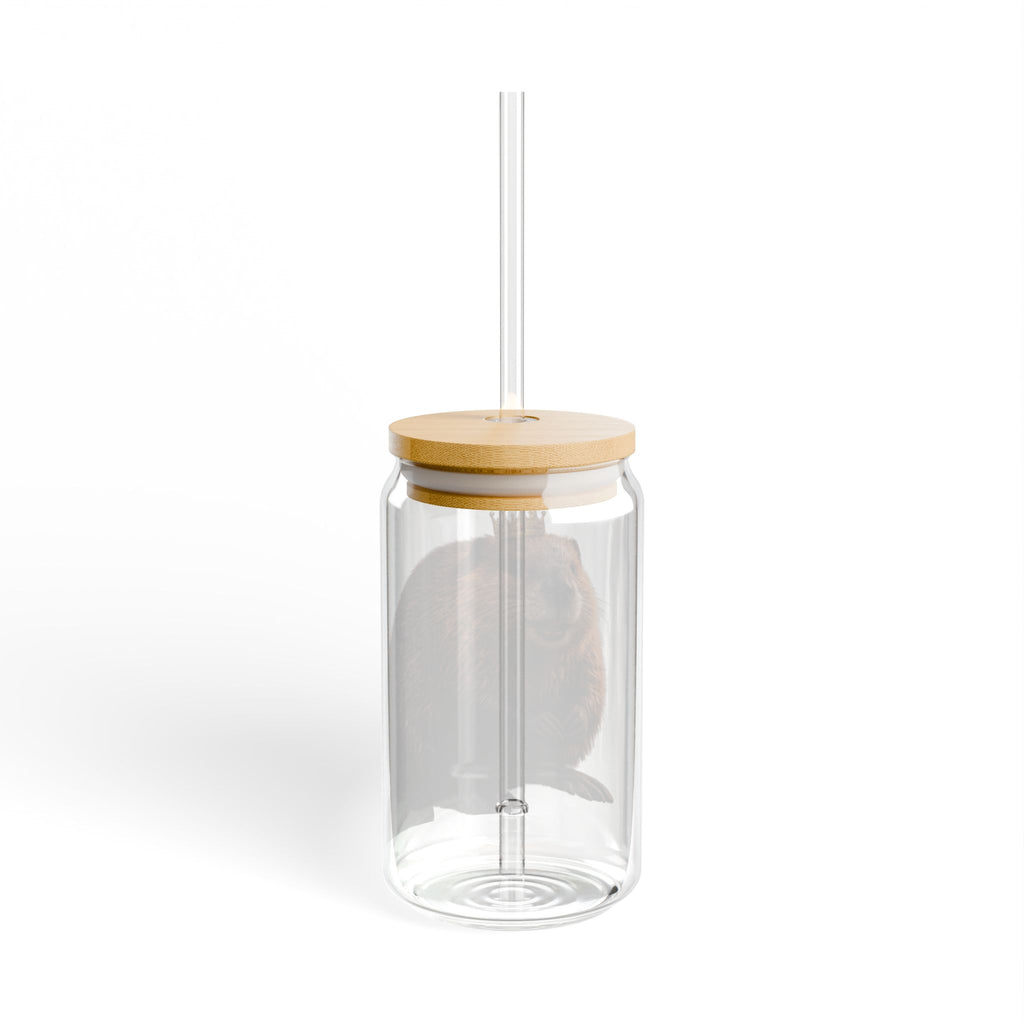 Crowned Beaver Sipper Glass 16oz | Clear Tumbler with Straw