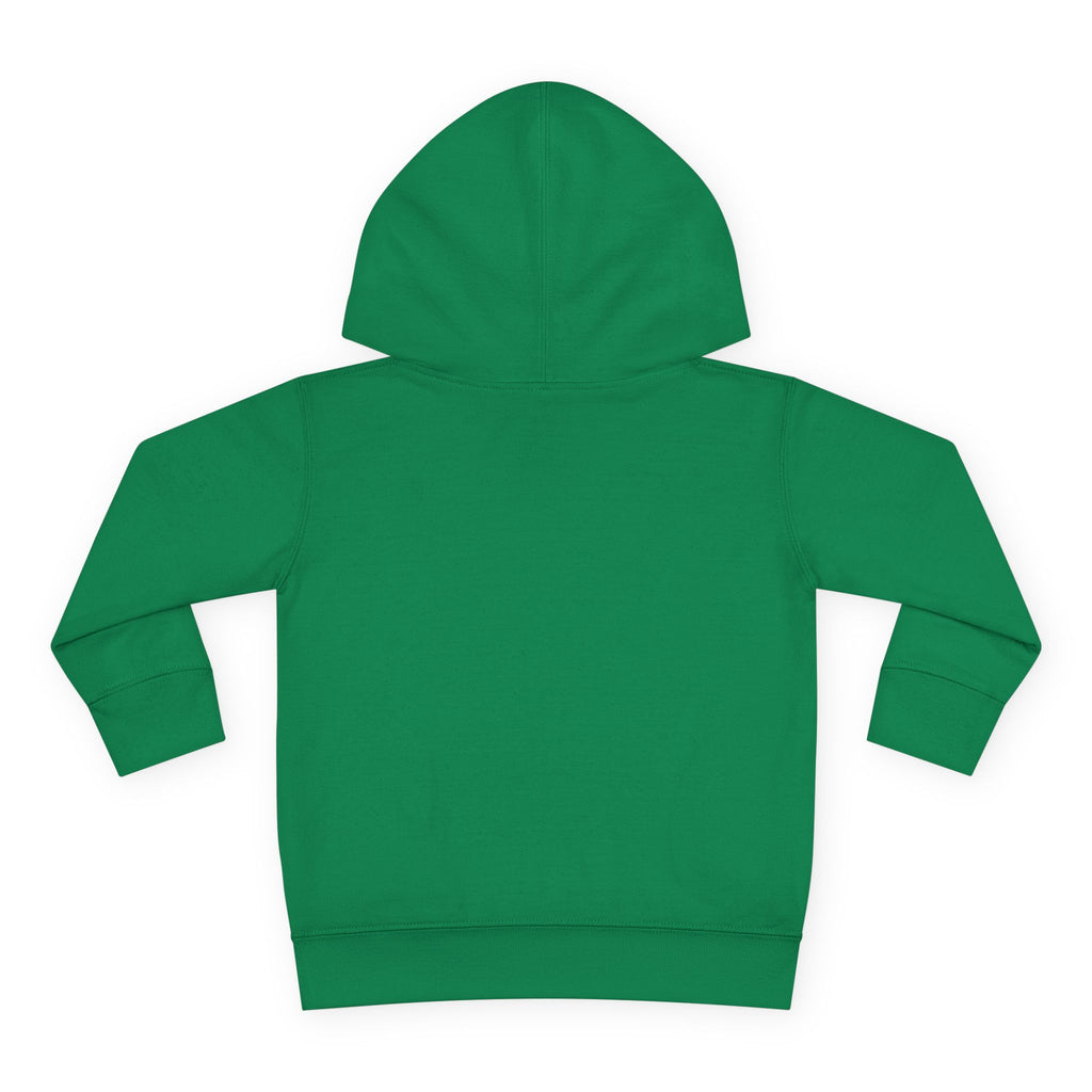Super Fly Toddler Hoodie | Fly Illustration Pullover