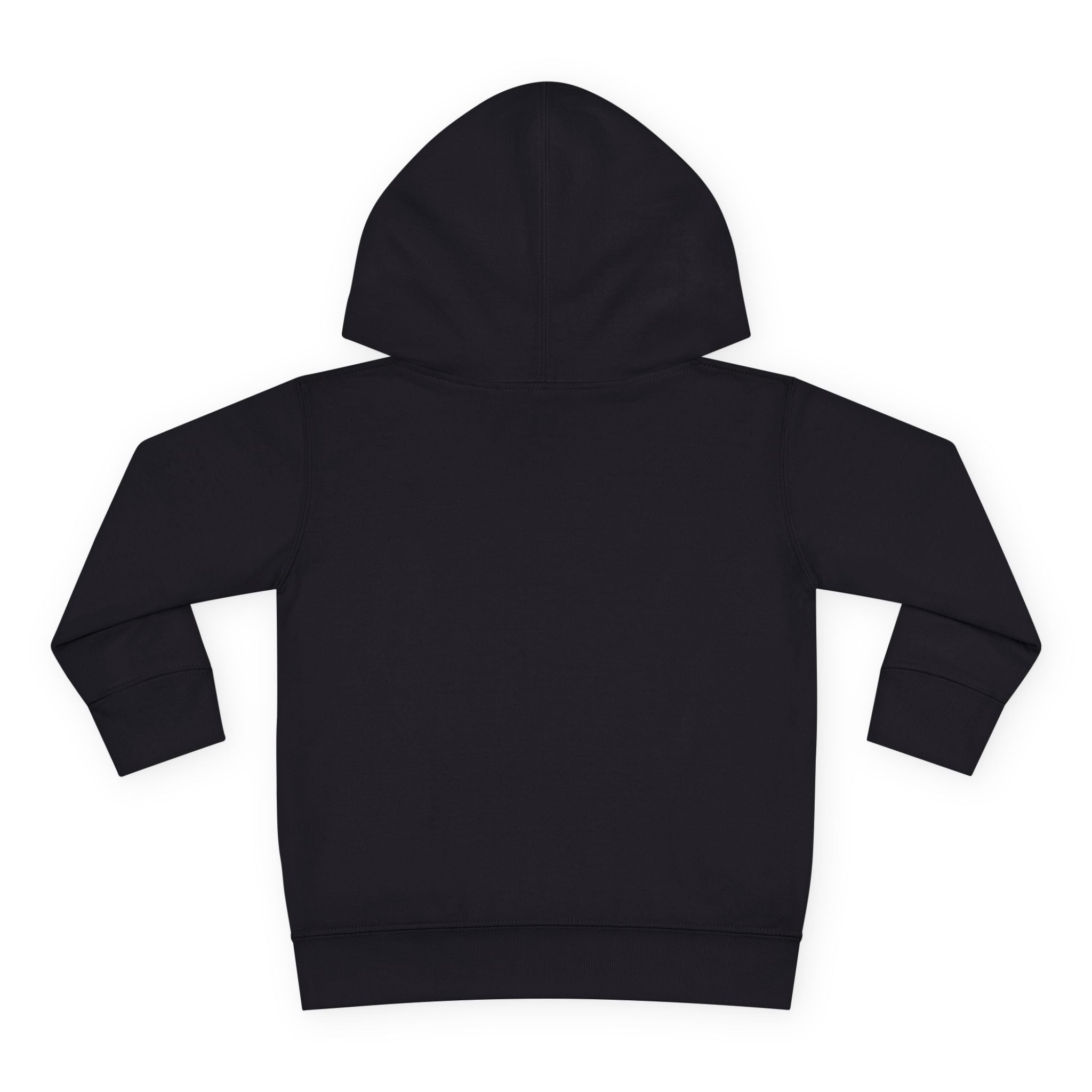 Super Fly Toddler Hoodie | Fly Illustration Pullover