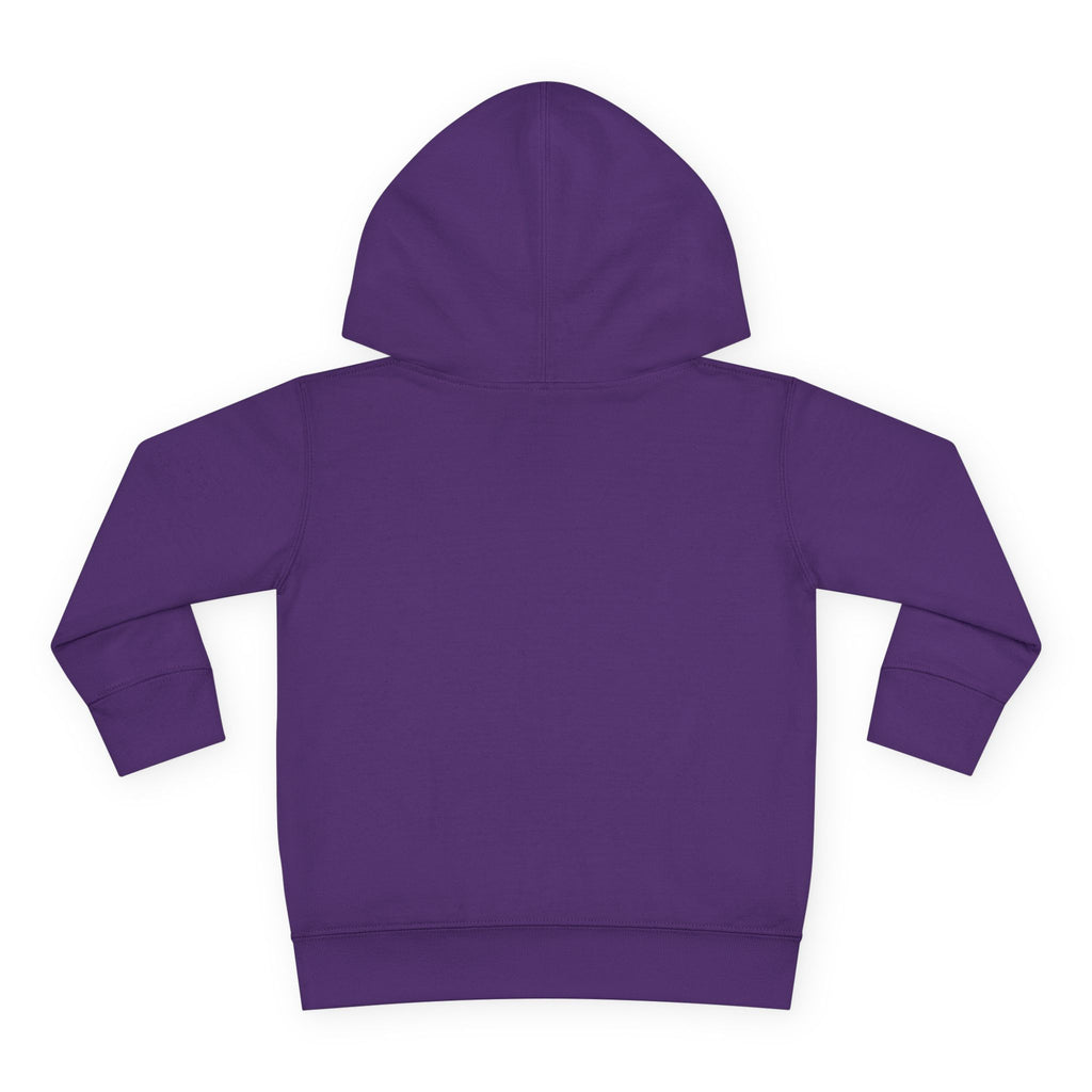 Super Fly Toddler Hoodie | Fly Illustration Pullover