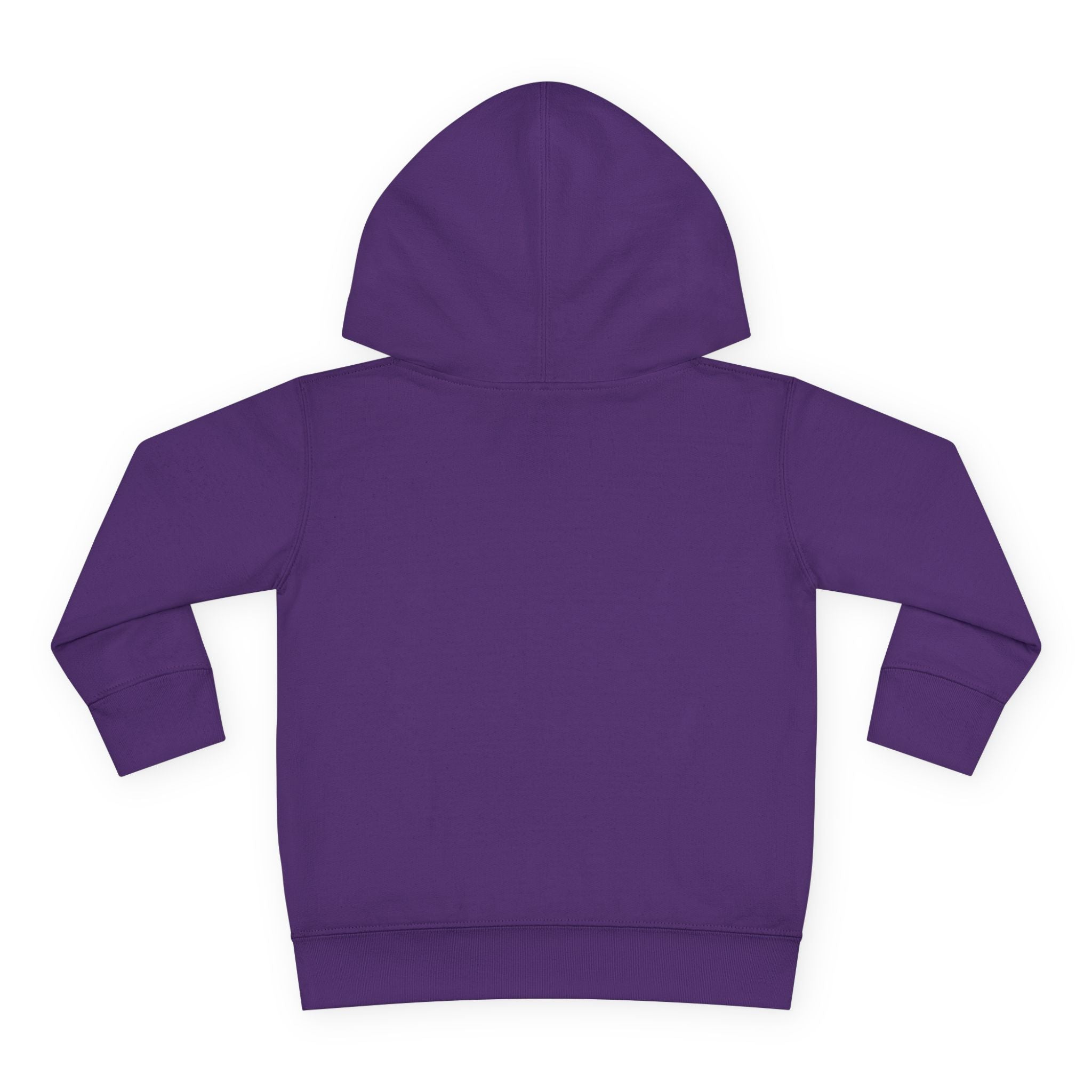 Super Fly Toddler Hoodie | Fly Illustration Pullover