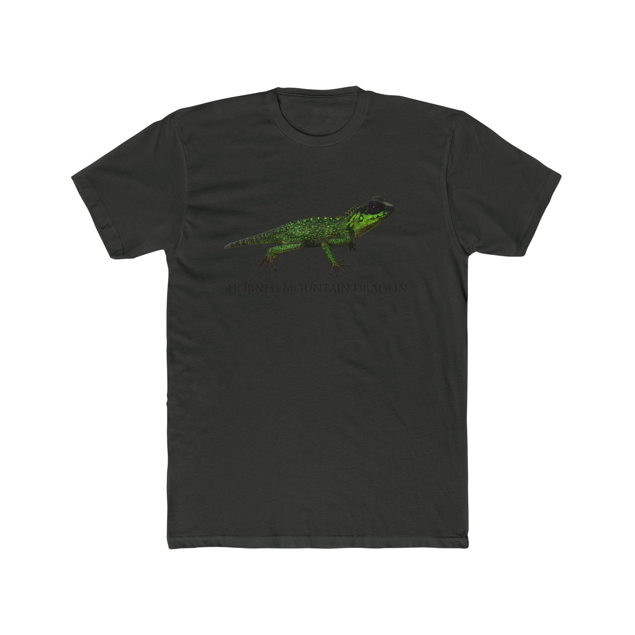 Horned Mountain Dragon Tee | Minimal Reptile Graphic Shirt