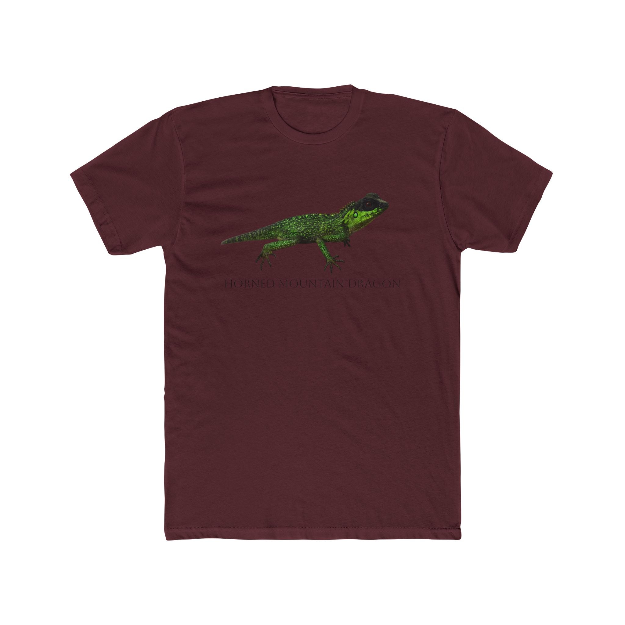 Horned Mountain Dragon Tee | Minimal Reptile Graphic Shirt