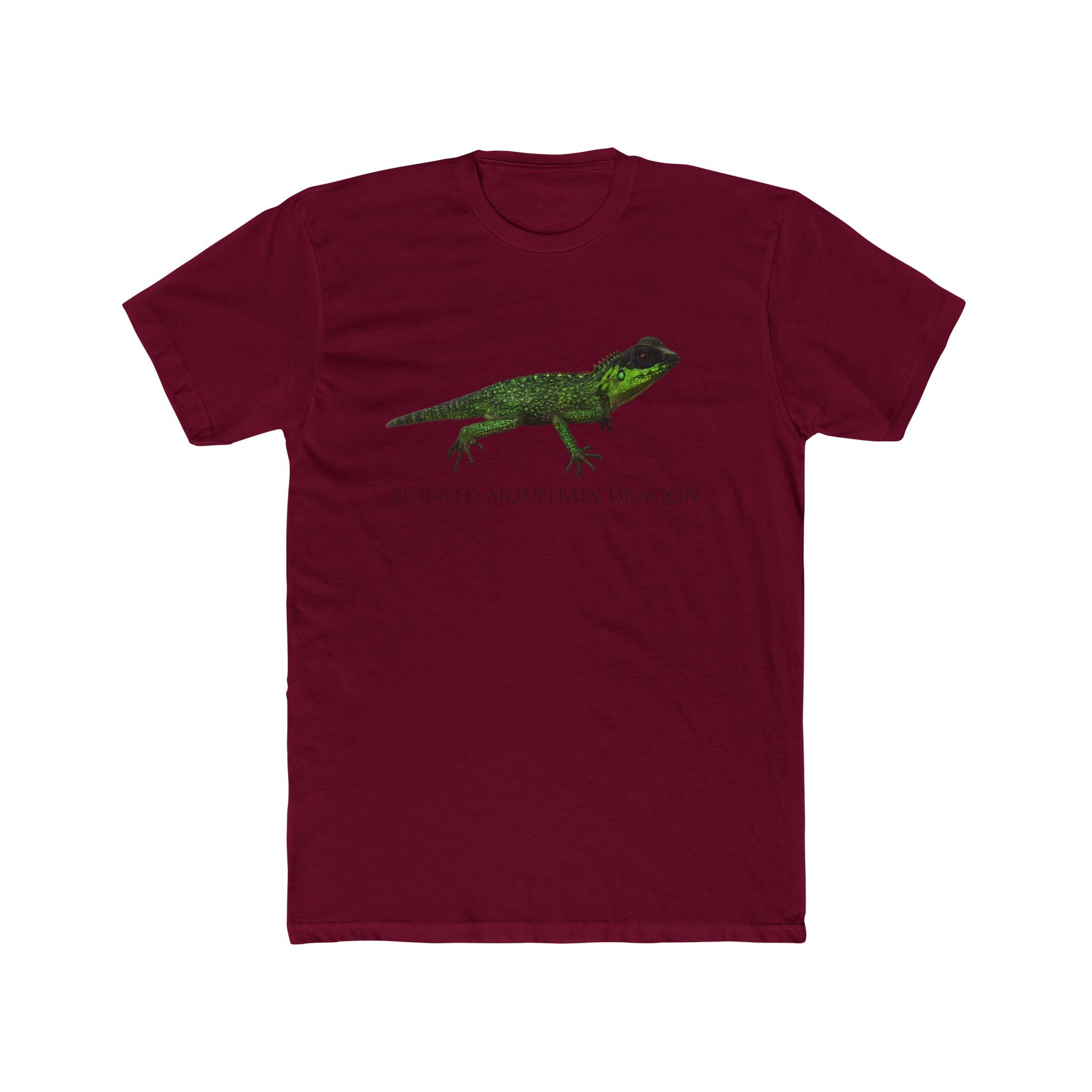 Horned Mountain Dragon Tee | Minimal Reptile Graphic Shirt