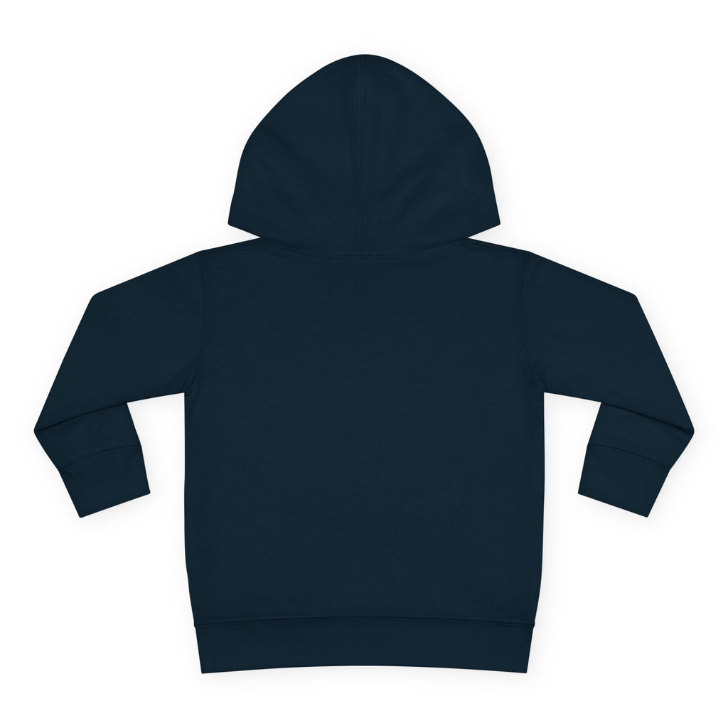 Super Fly Toddler Hoodie | Fly Illustration Pullover