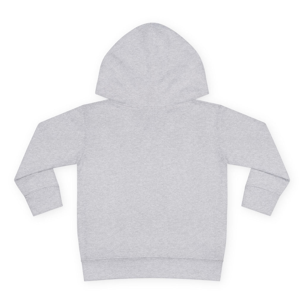 Super Fly Toddler Hoodie | Fly Illustration Pullover