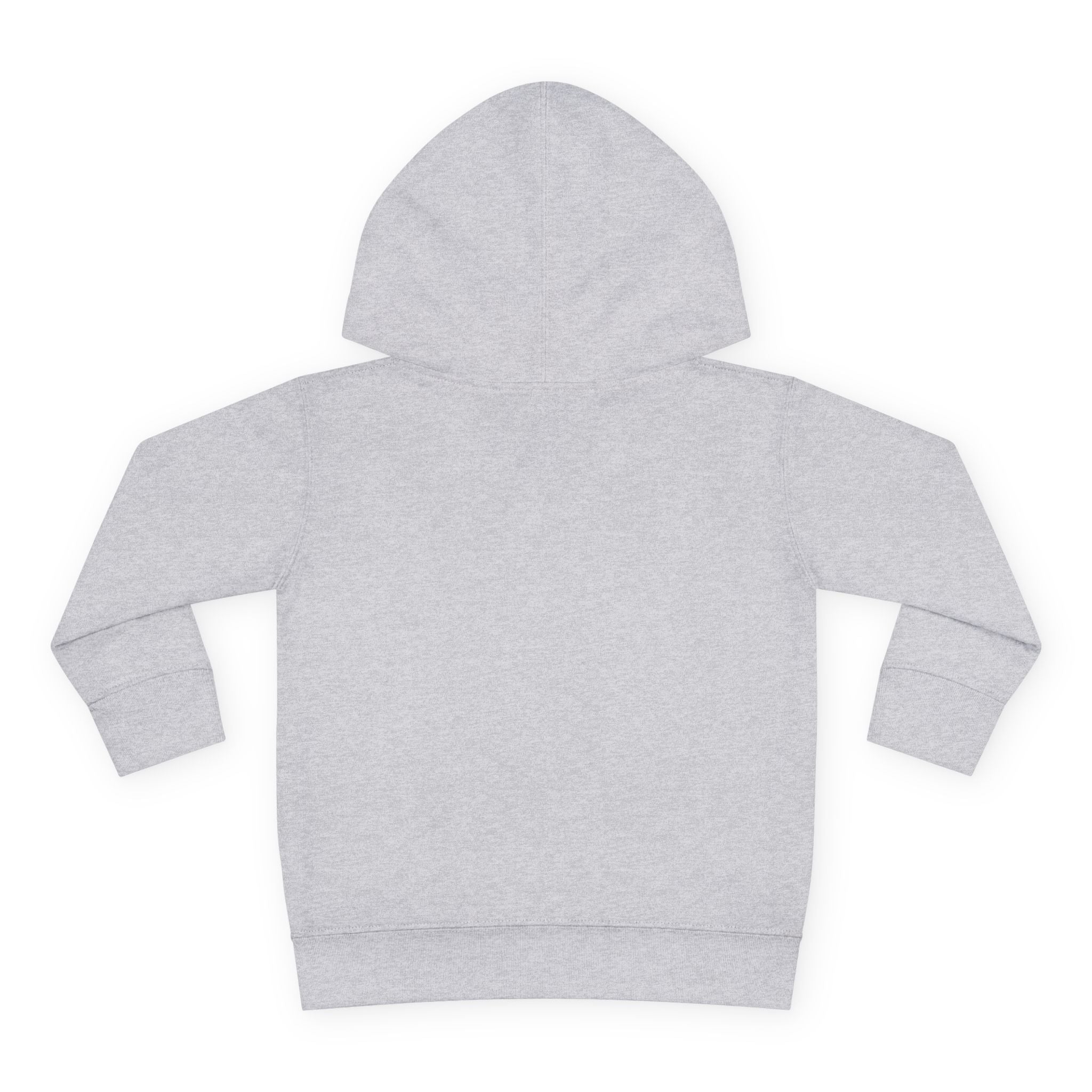 Super Fly Toddler Hoodie | Fly Illustration Pullover