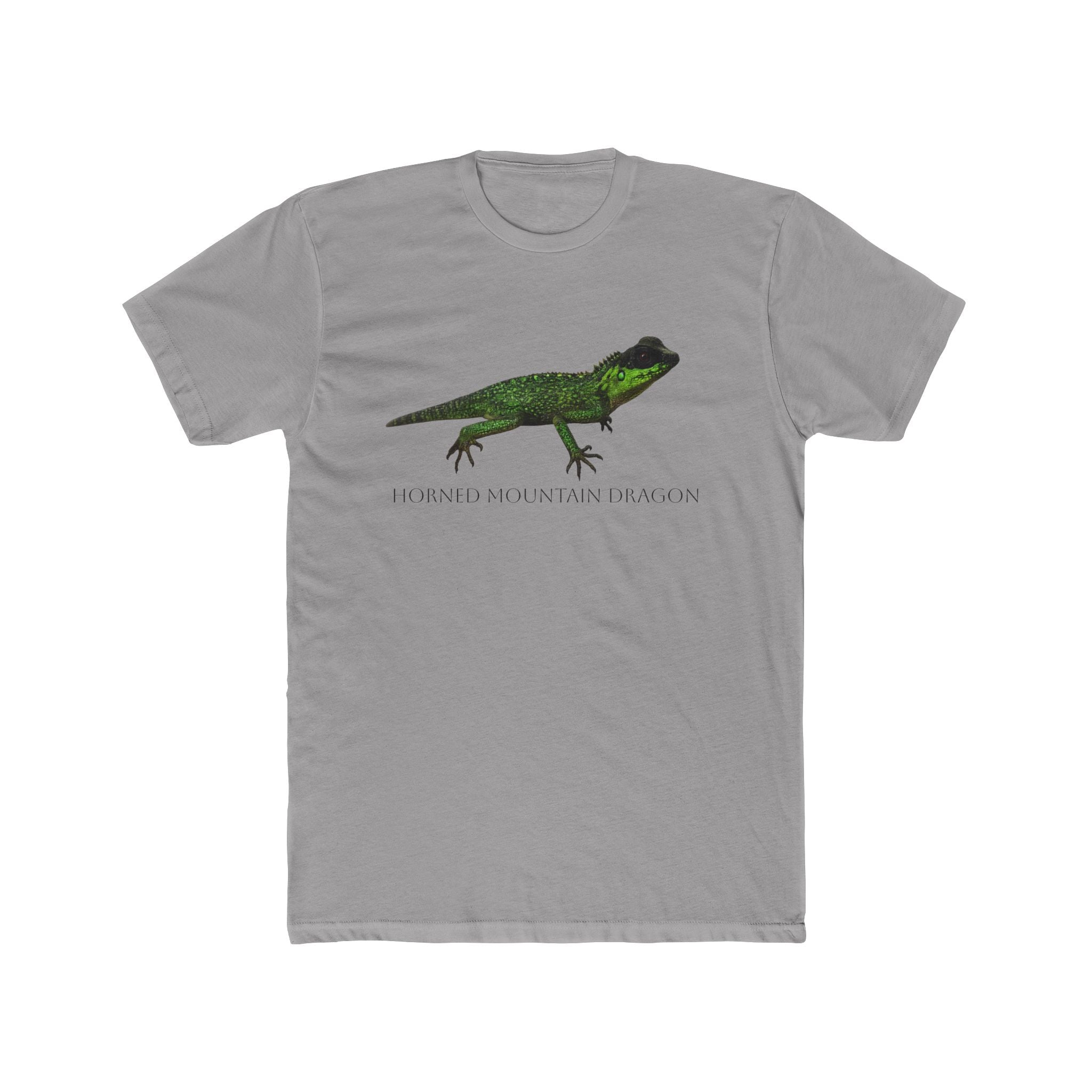 Horned Mountain Dragon Tee | Minimal Reptile Graphic Shirt