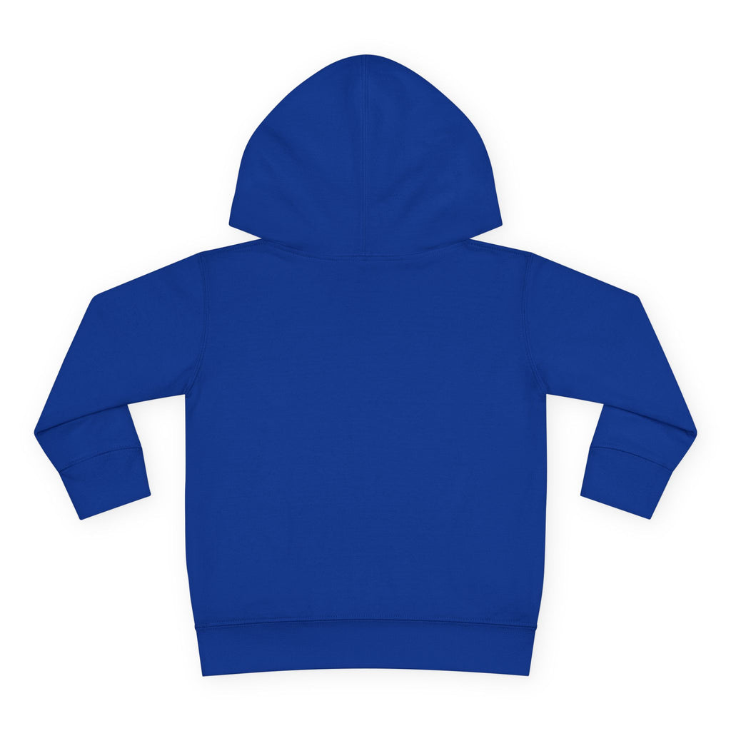 Super Fly Toddler Hoodie | Fly Illustration Pullover