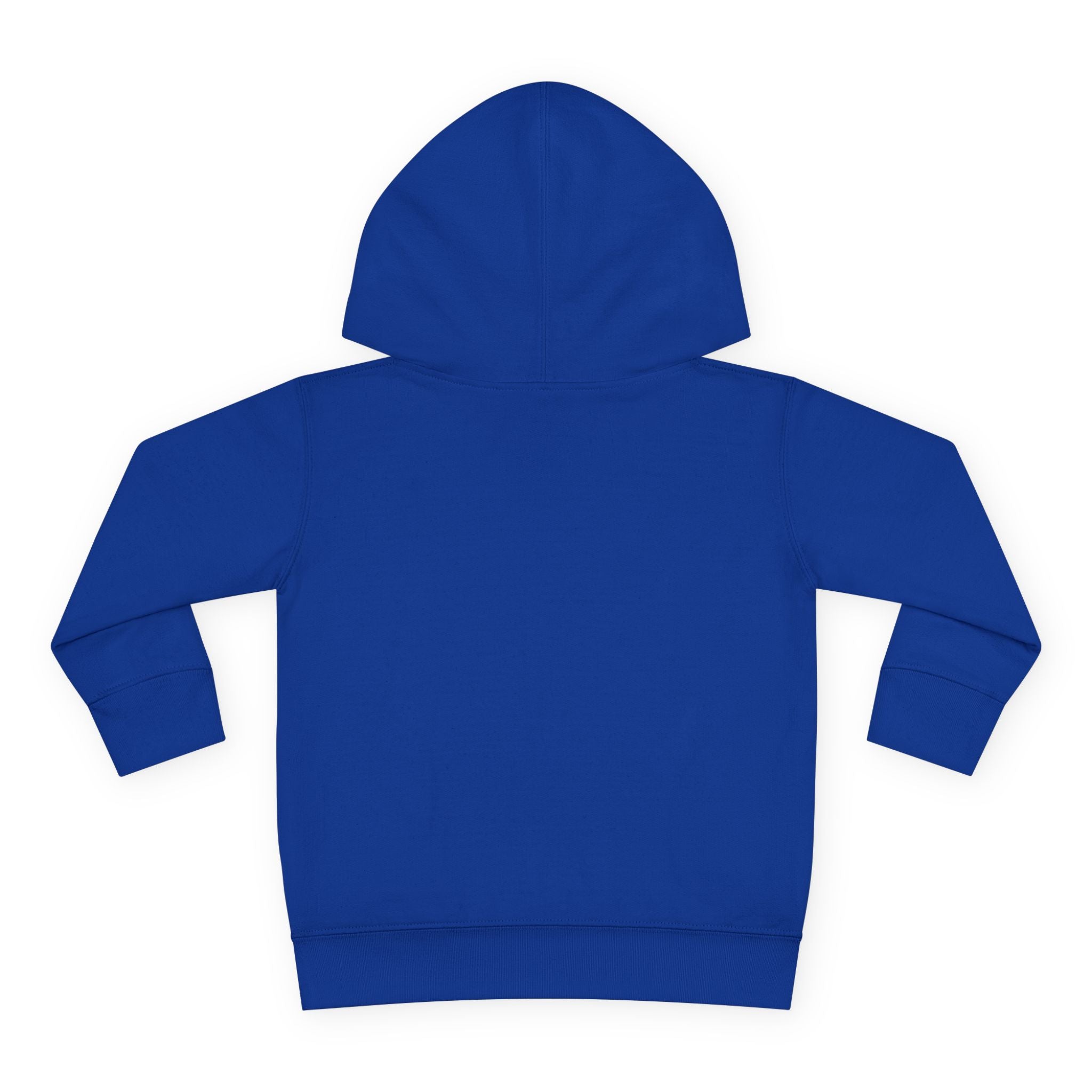 Super Fly Toddler Hoodie | Fly Illustration Pullover