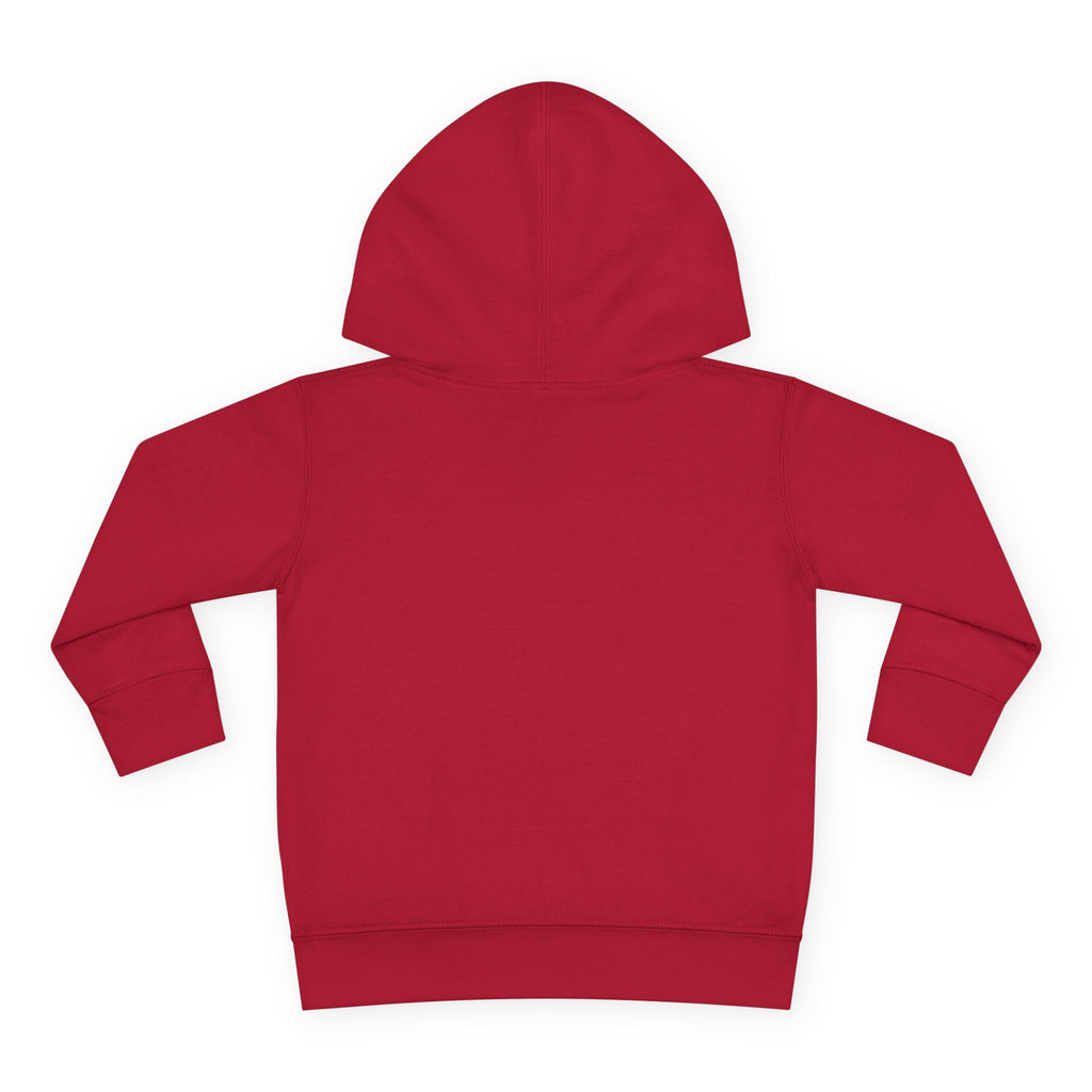 Super Fly Toddler Hoodie | Fly Illustration Pullover