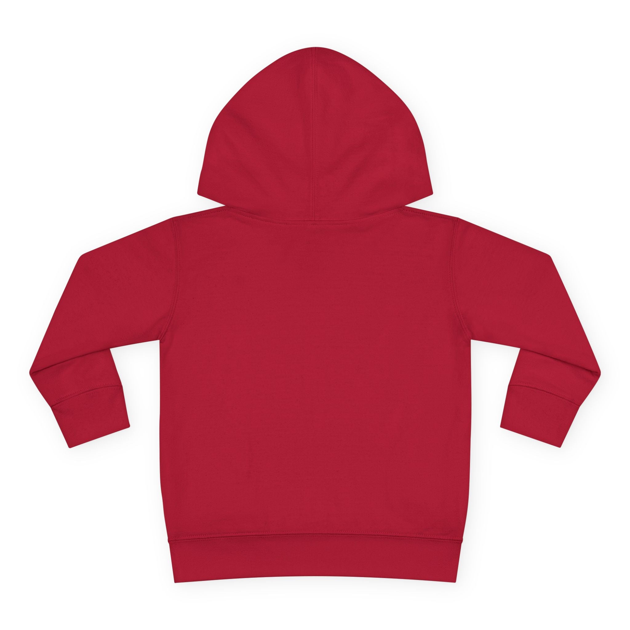Super Fly Toddler Hoodie | Fly Illustration Pullover