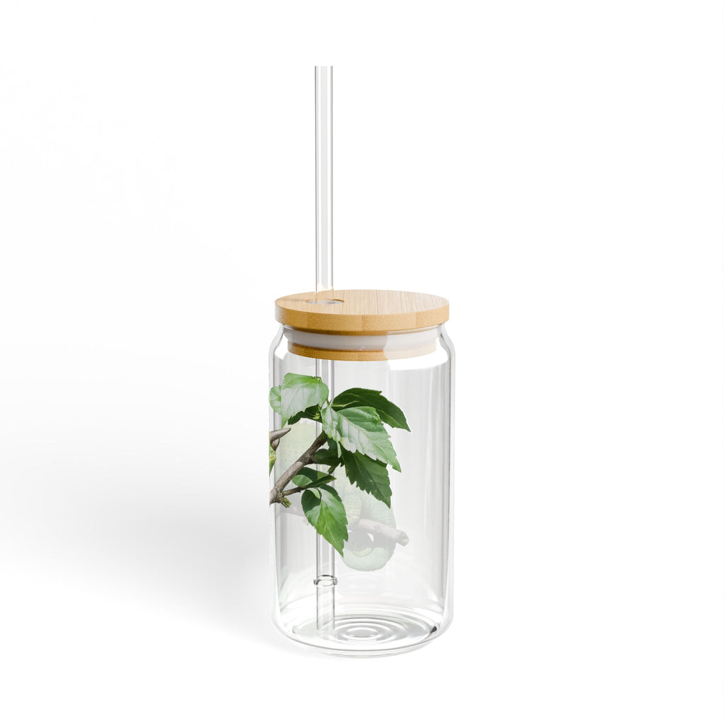 Jackson's Chameleon Sipper Glass 16oz | Reusable Straw Tumbler