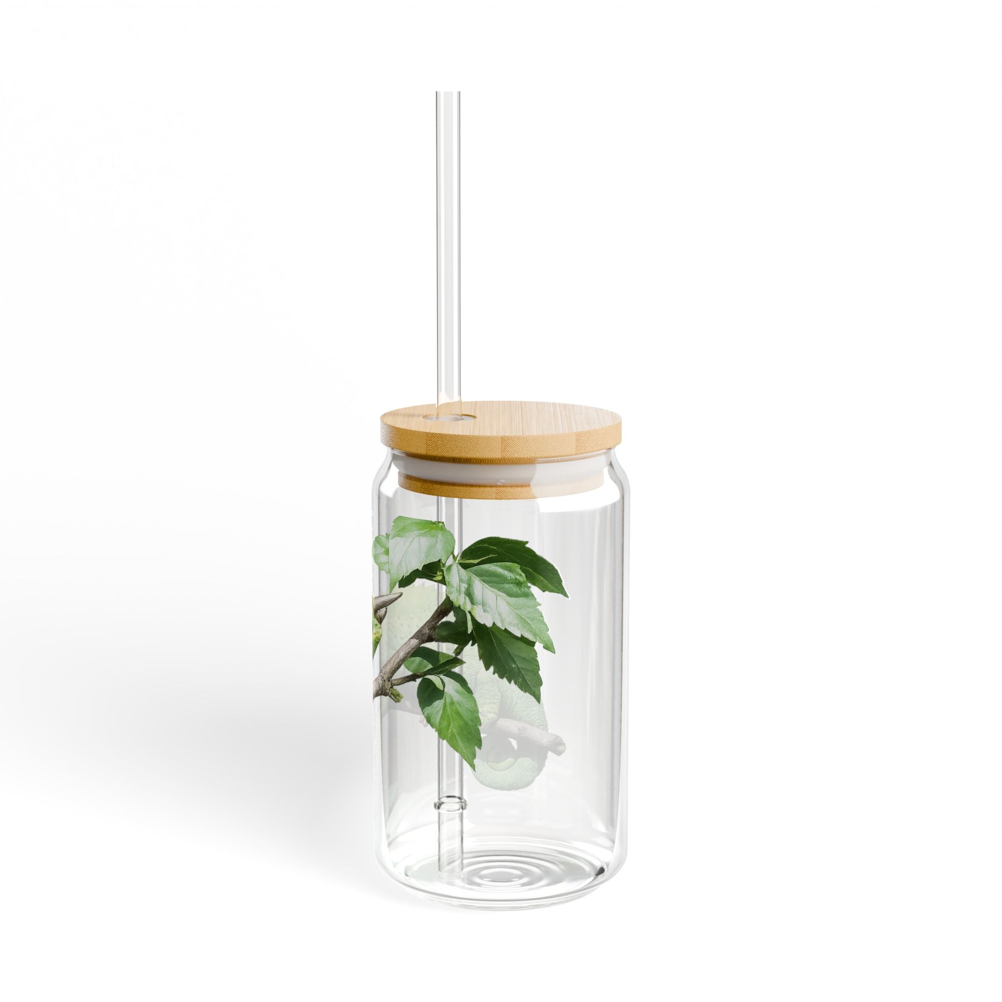 Jackson's Chameleon Sipper Glass 16oz | Reusable Straw Tumbler