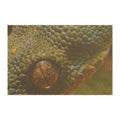 Green Snake Eye Doormat | Reptile Scale Entrance Mat