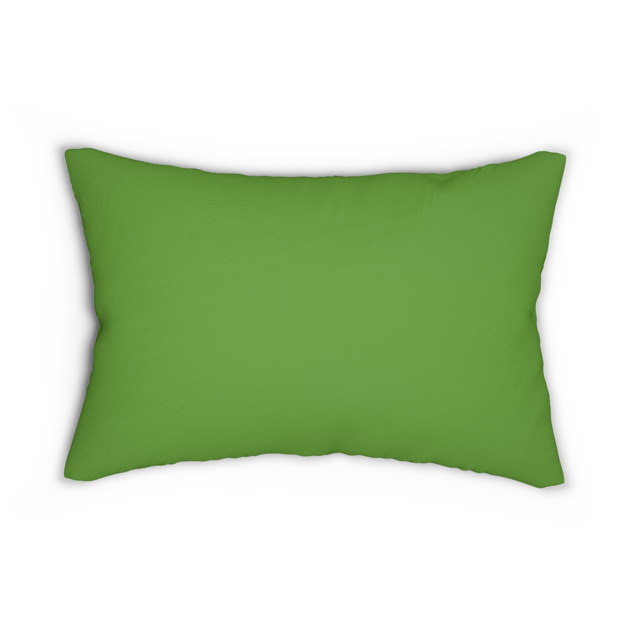 Standing Prairie Dog lumbar pillow | green background, animal decor