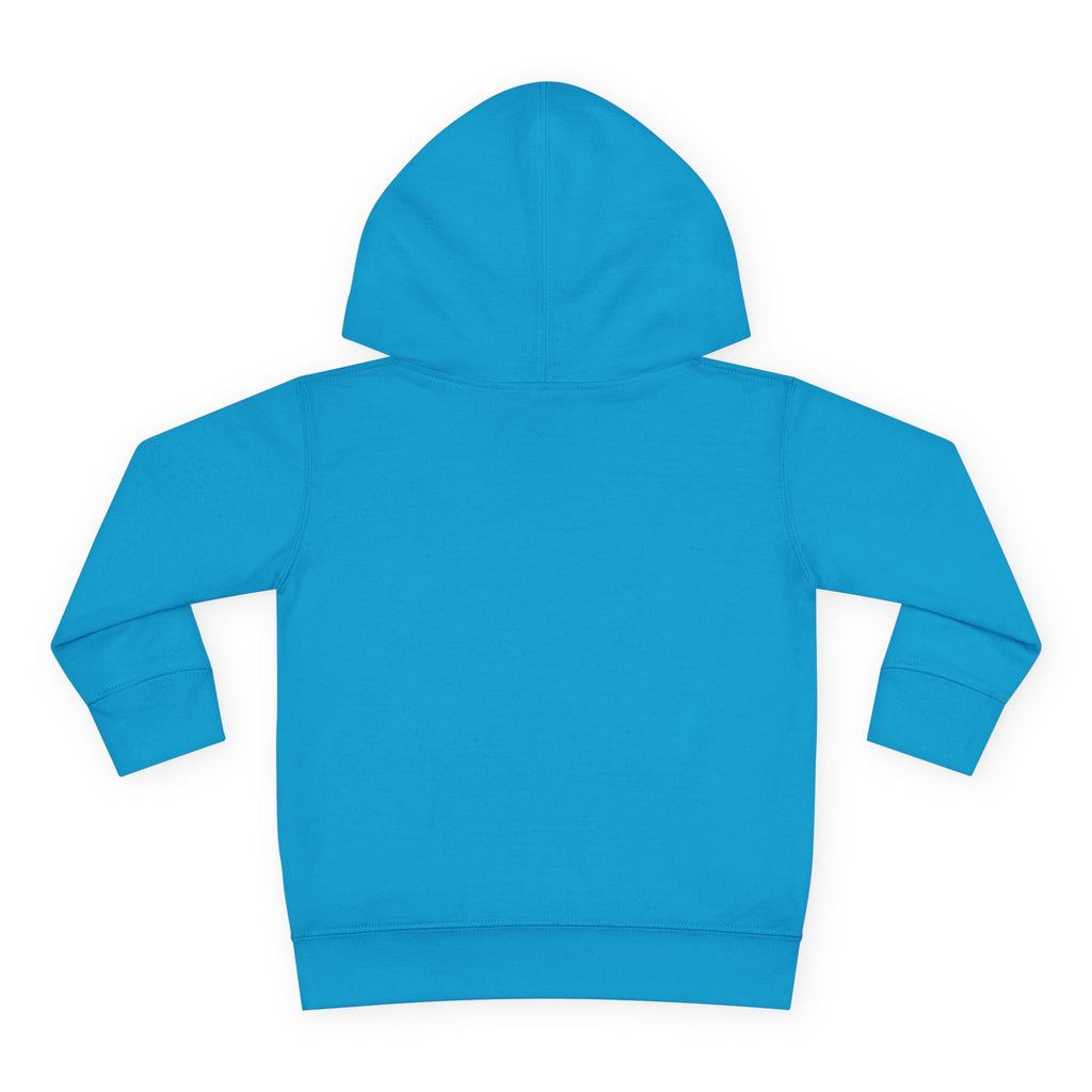 Super Fly Toddler Hoodie | Fly Illustration Pullover