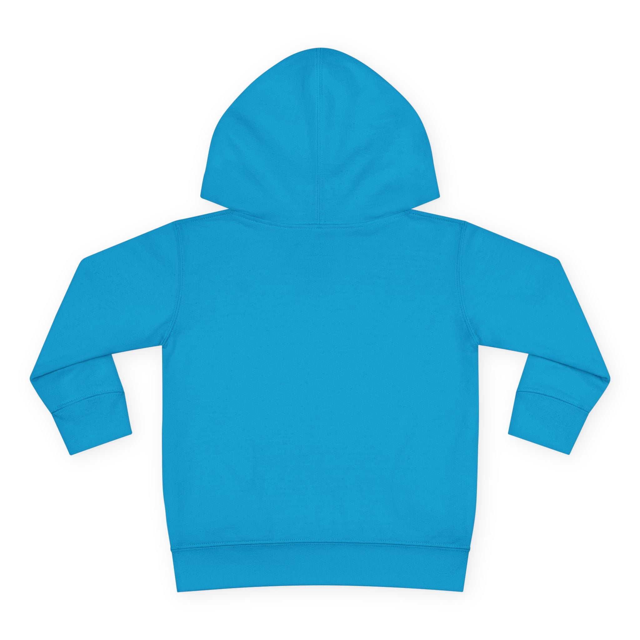 Super Fly Toddler Hoodie | Fly Illustration Pullover