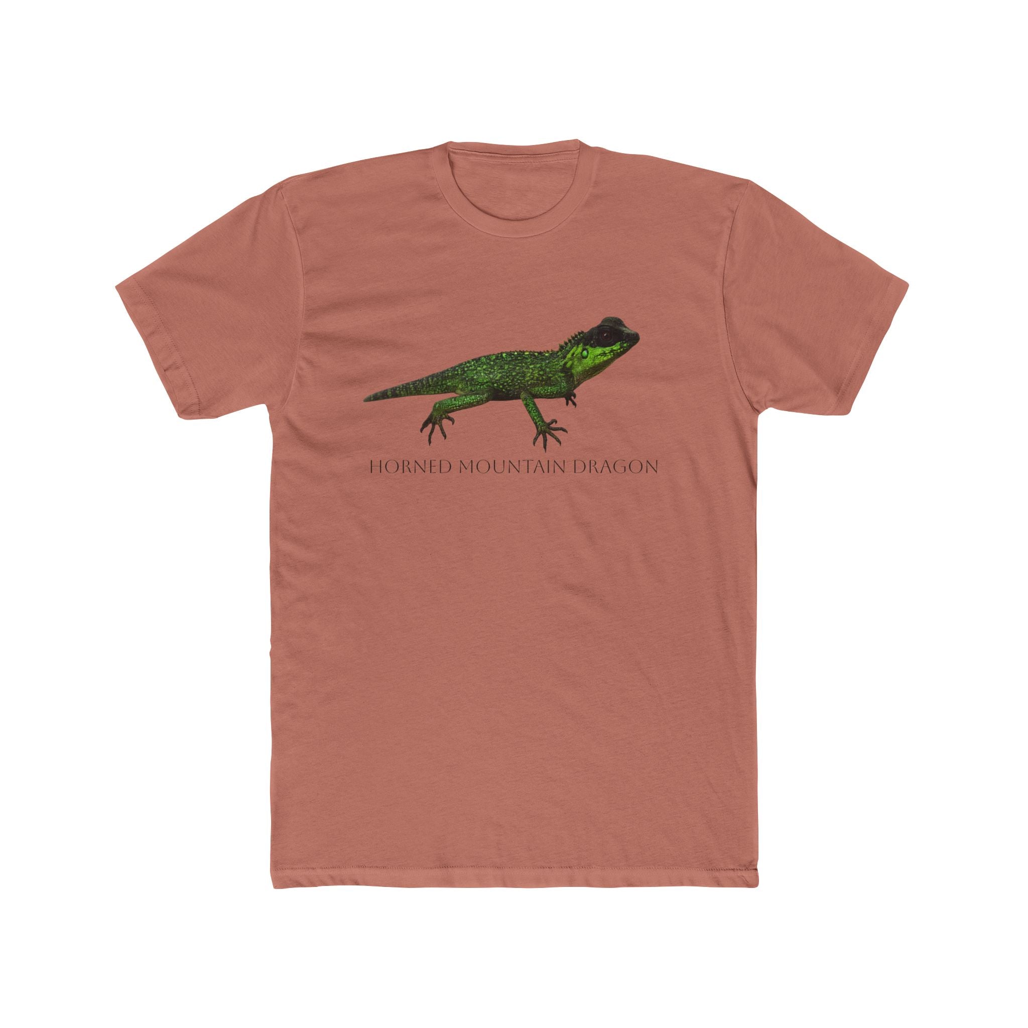 Horned Mountain Dragon Tee | Minimal Reptile Graphic Shirt