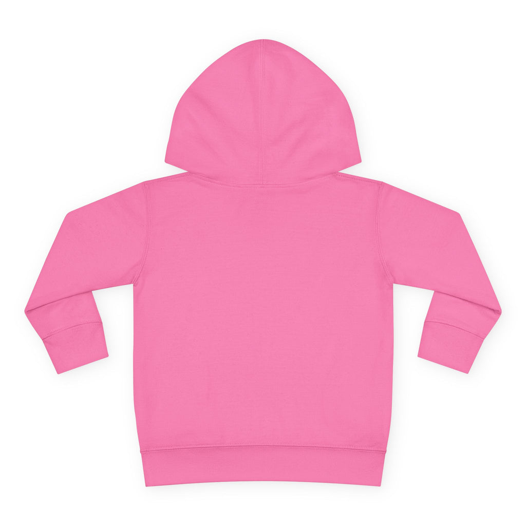 Super Fly Toddler Hoodie | Fly Illustration Pullover