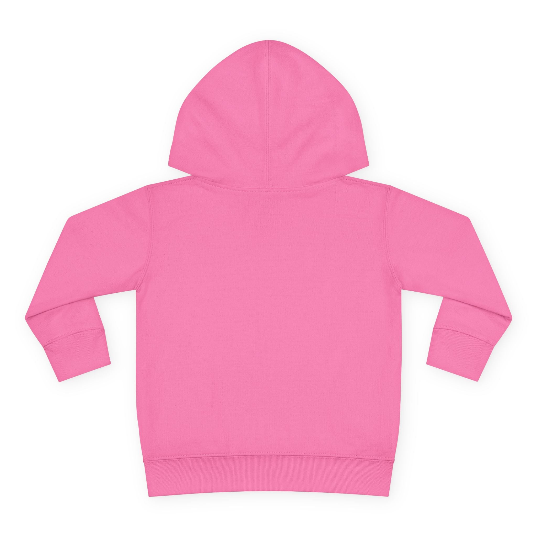Super Fly Toddler Hoodie | Fly Illustration Pullover