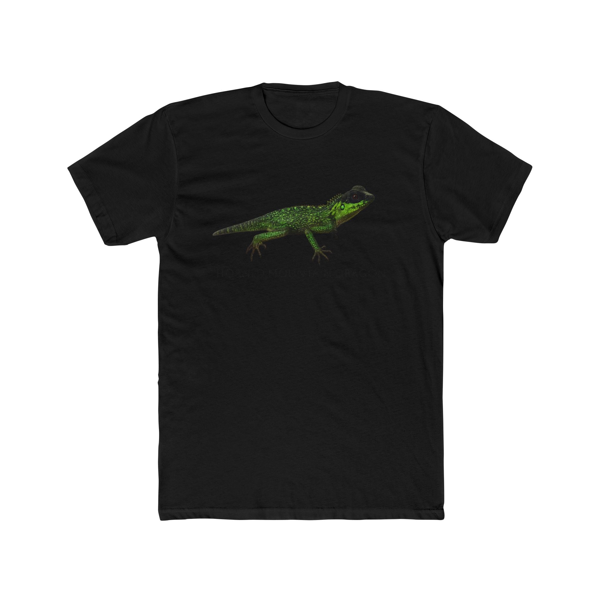 Horned Mountain Dragon Tee | Minimal Reptile Graphic Shirt