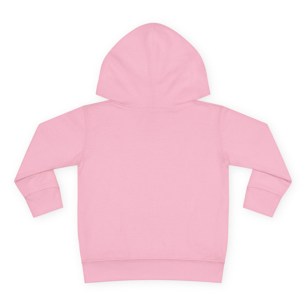 Super Fly Toddler Hoodie | Fly Illustration Pullover