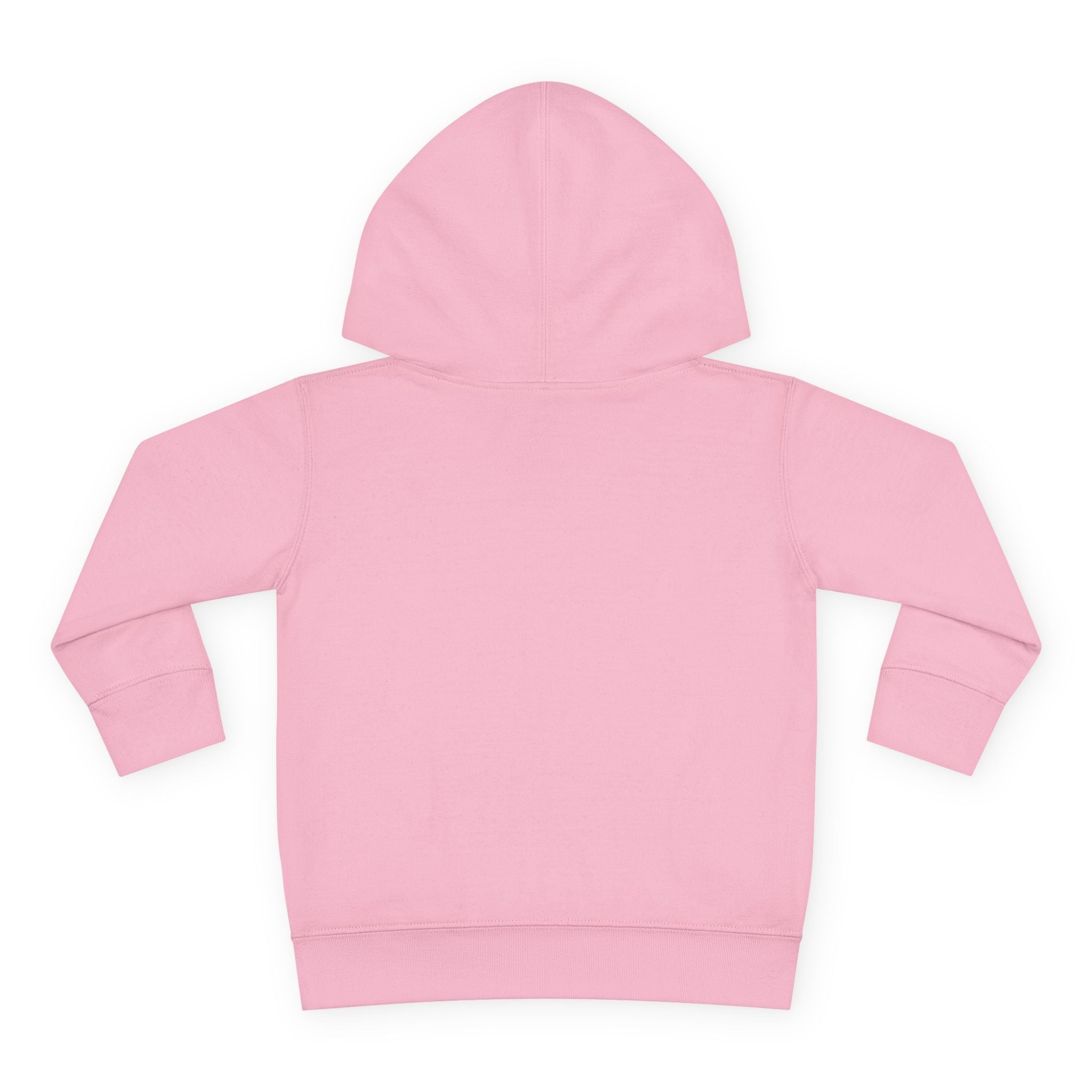Super Fly Toddler Hoodie | Fly Illustration Pullover