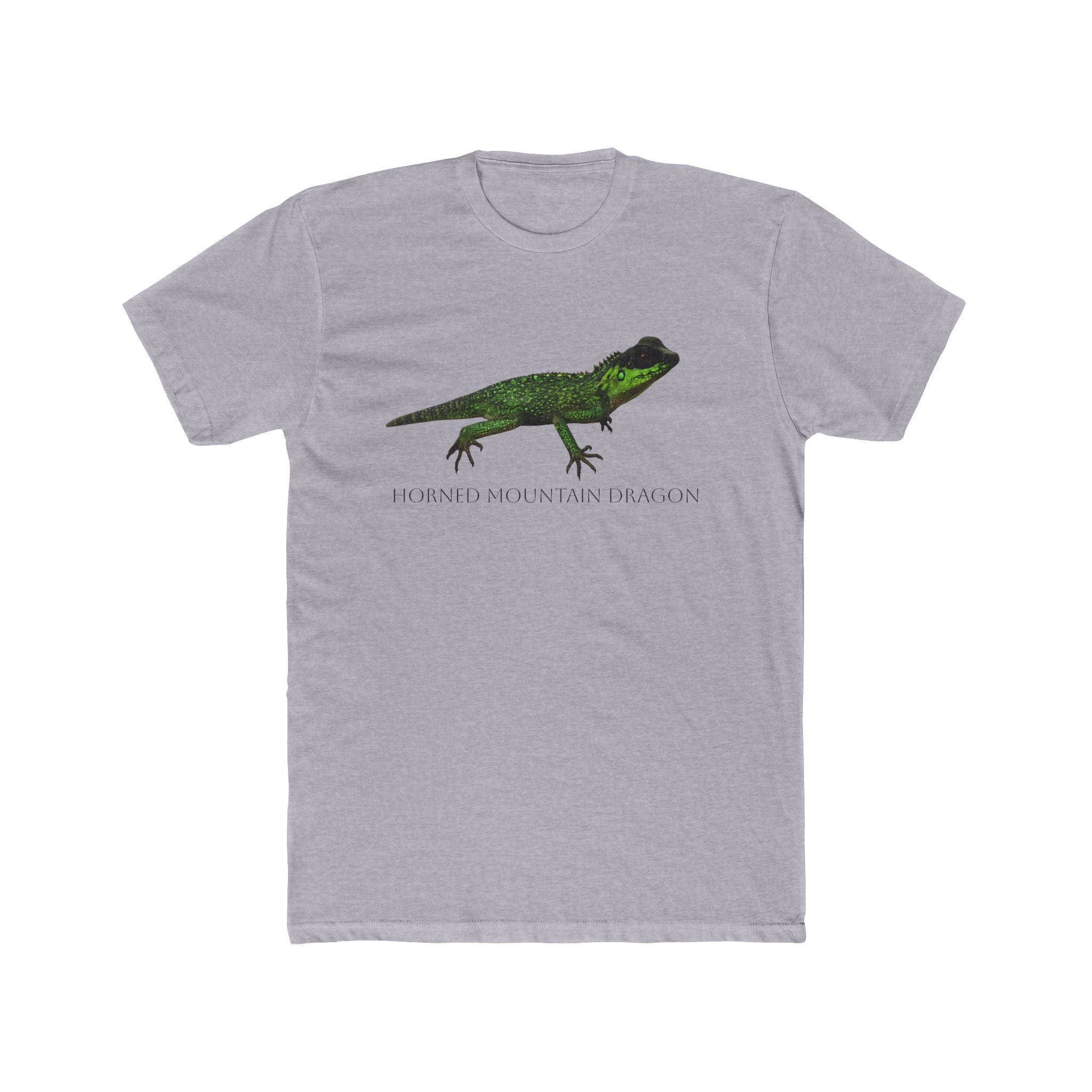 Horned Mountain Dragon Tee | Minimal Reptile Graphic Shirt