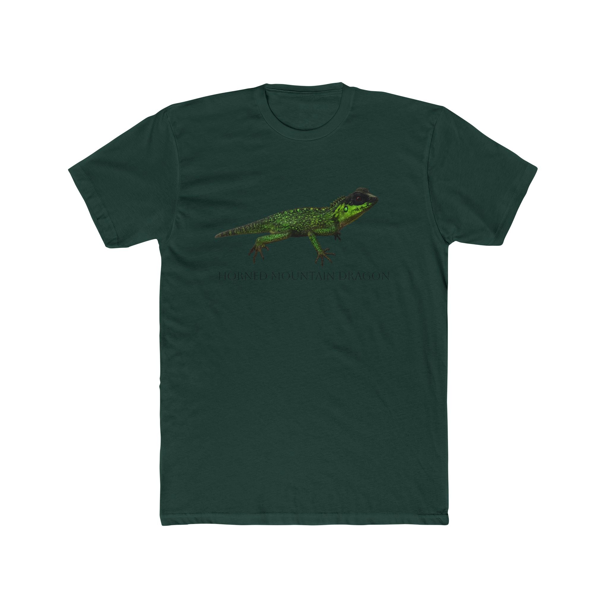 Horned Mountain Dragon Tee | Minimal Reptile Graphic Shirt
