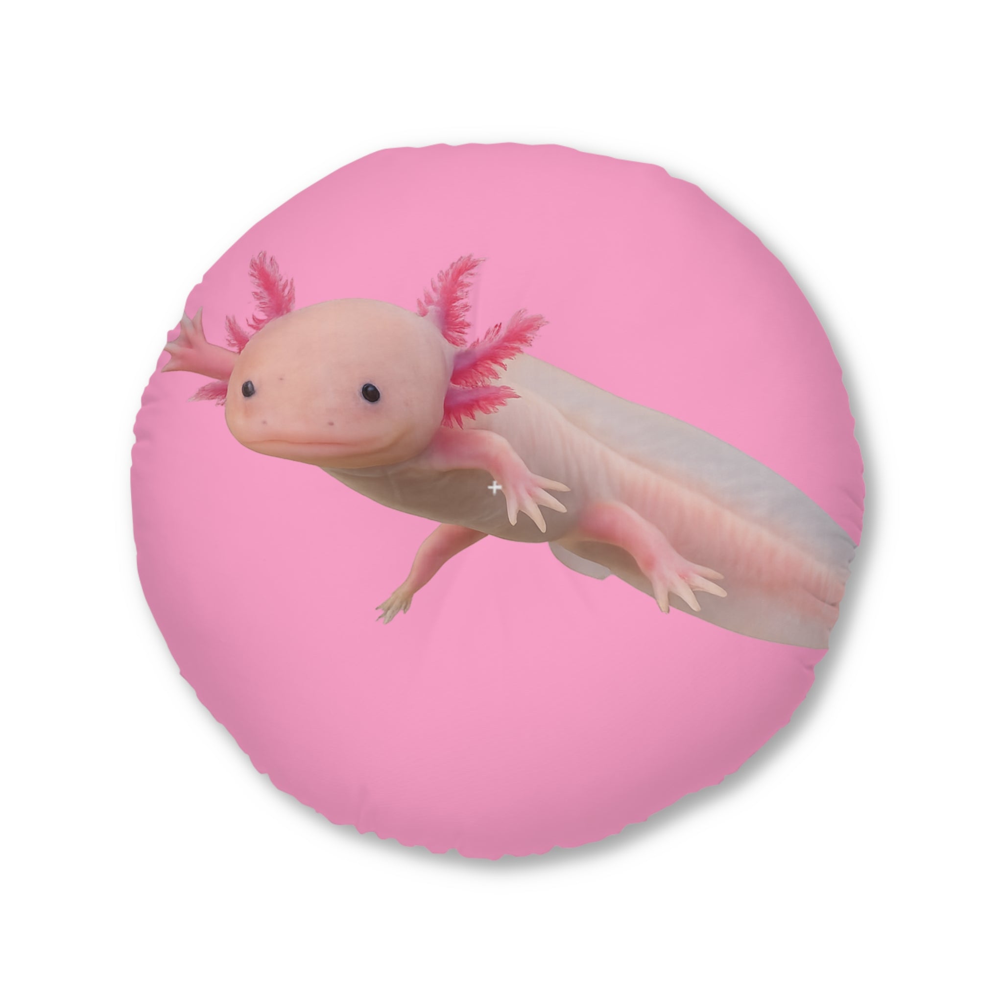 Axolotl Tufted Floor Pillow | Round