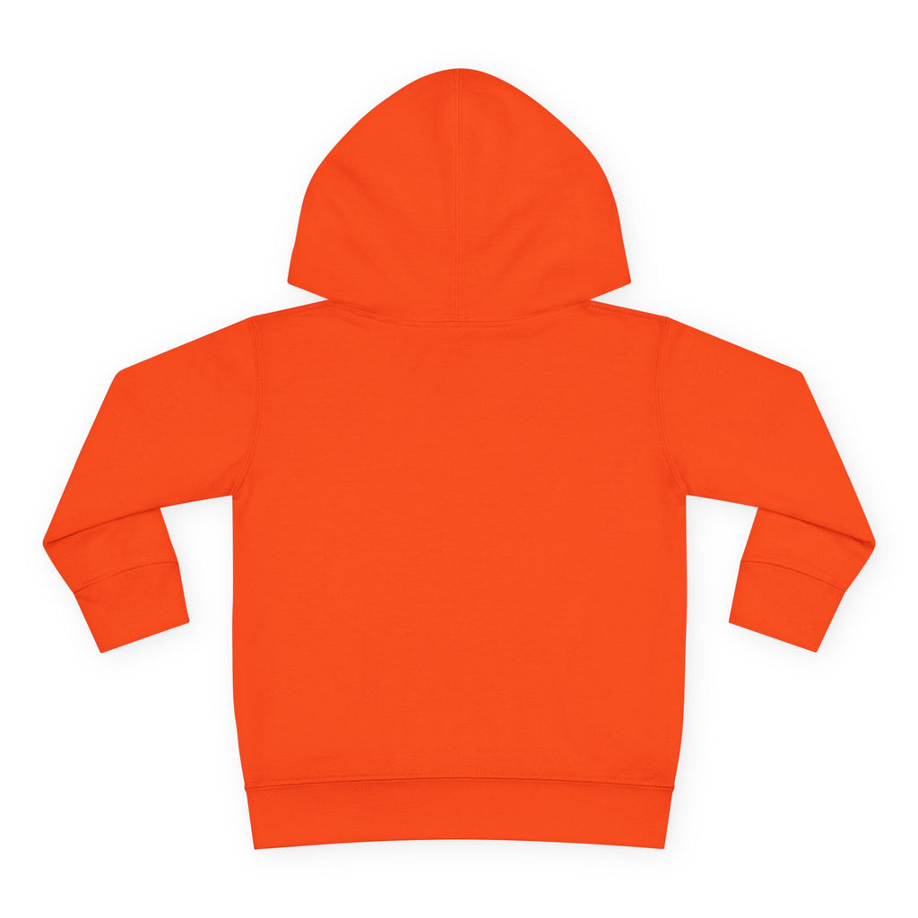 Super Fly Toddler Hoodie | Fly Illustration Pullover