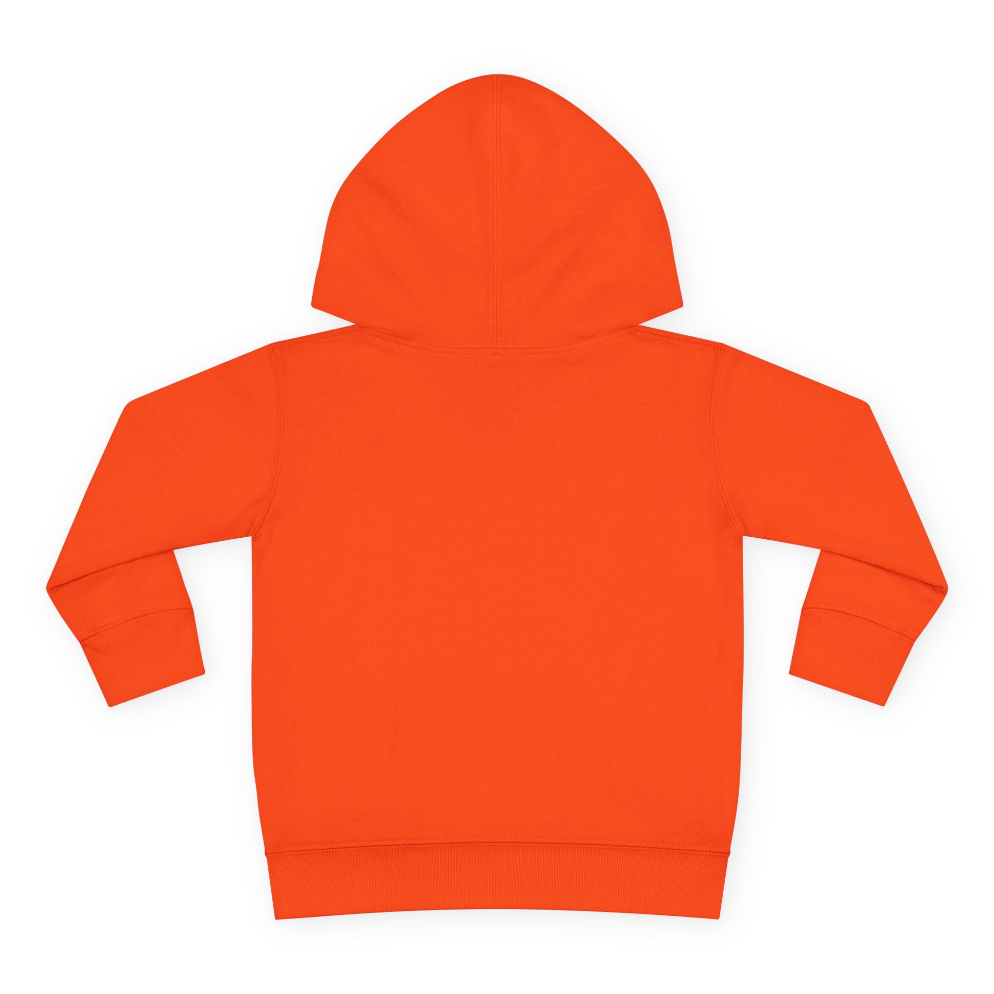 Super Fly Toddler Hoodie | Fly Illustration Pullover