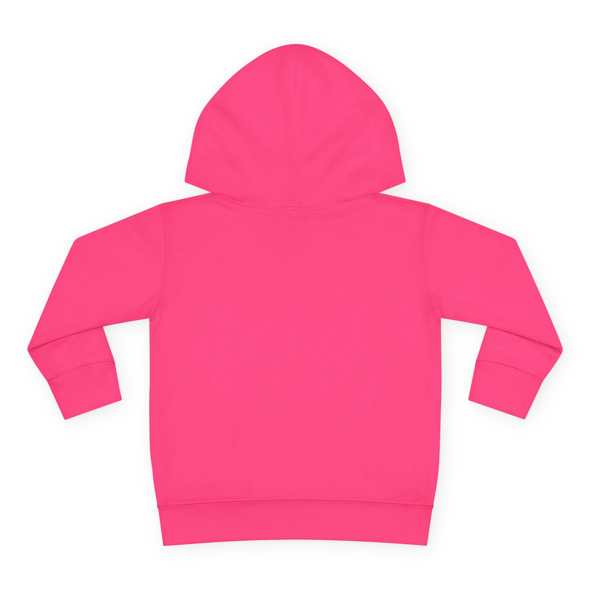 Super Fly Toddler Hoodie | Fly Illustration Pullover