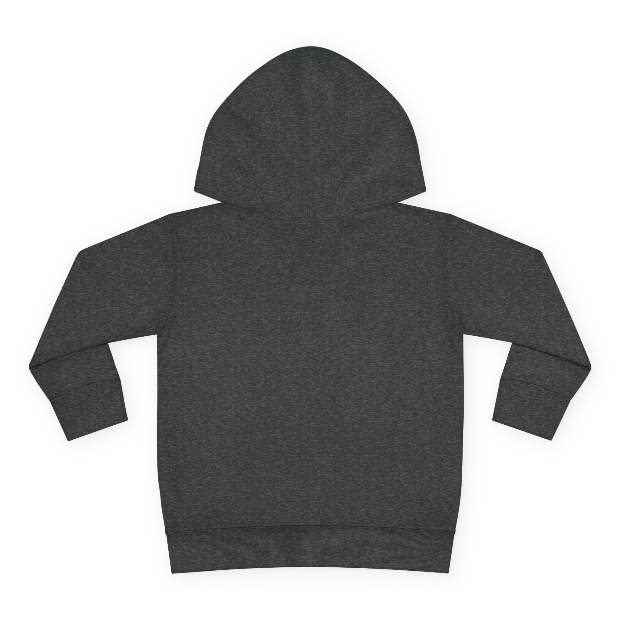 Super Fly Toddler Hoodie | Fly Illustration Pullover