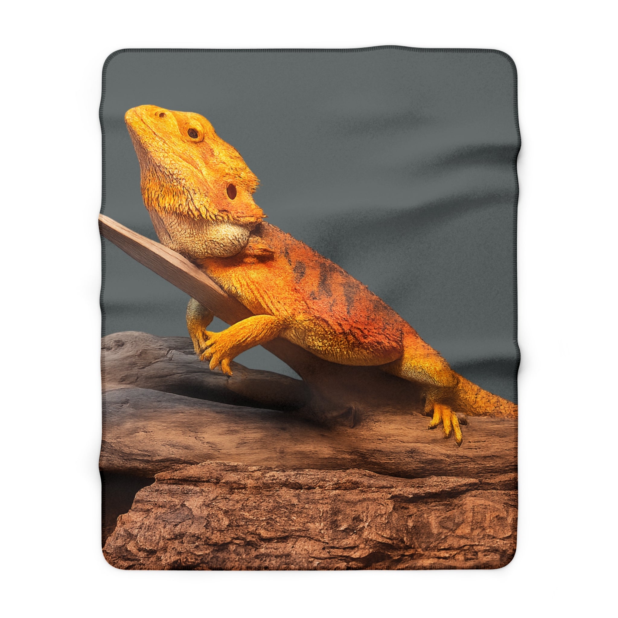Bearded Dragon Print Sherpa Blanket | Reptile Lizard Photo