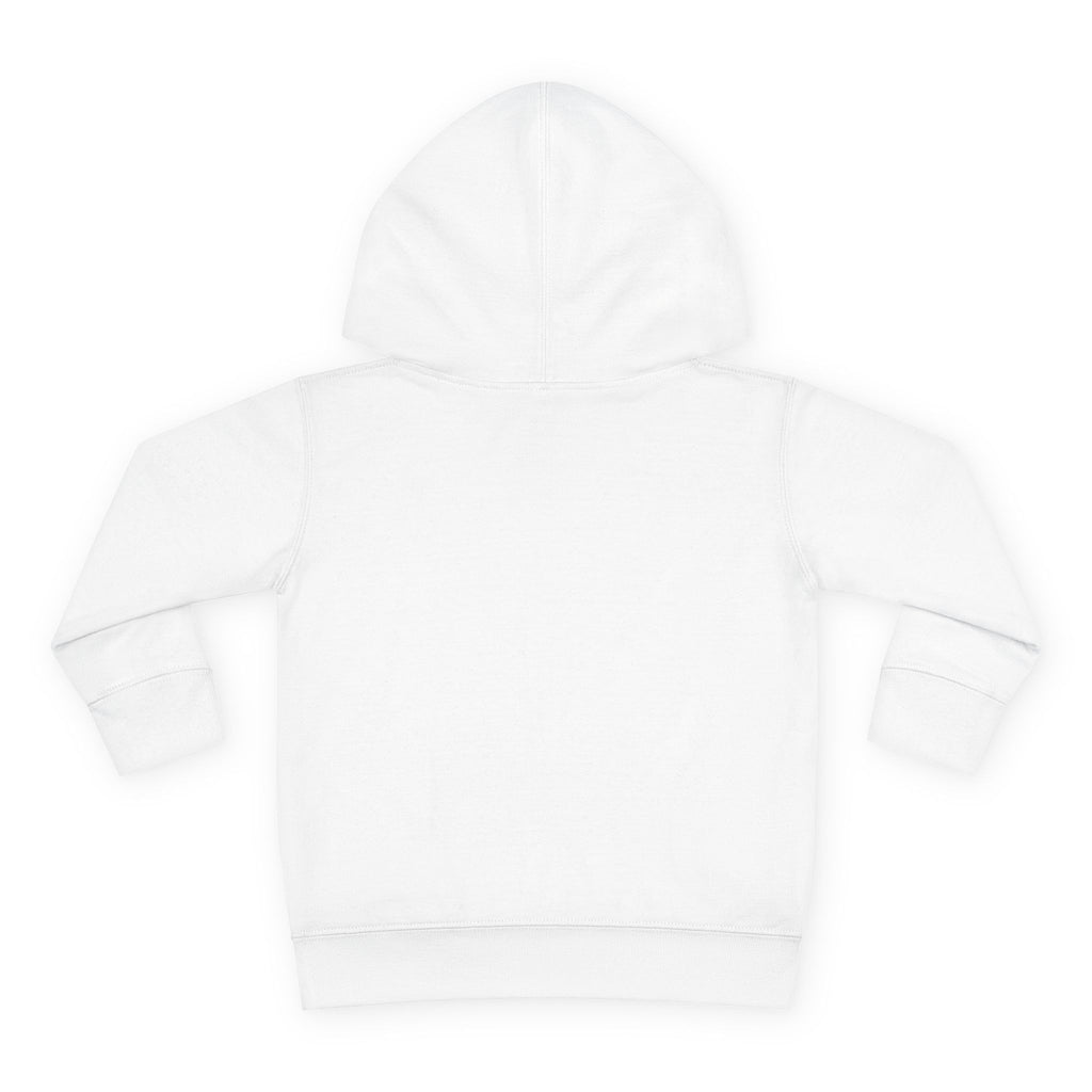 Super Fly Toddler Hoodie | Fly Illustration Pullover