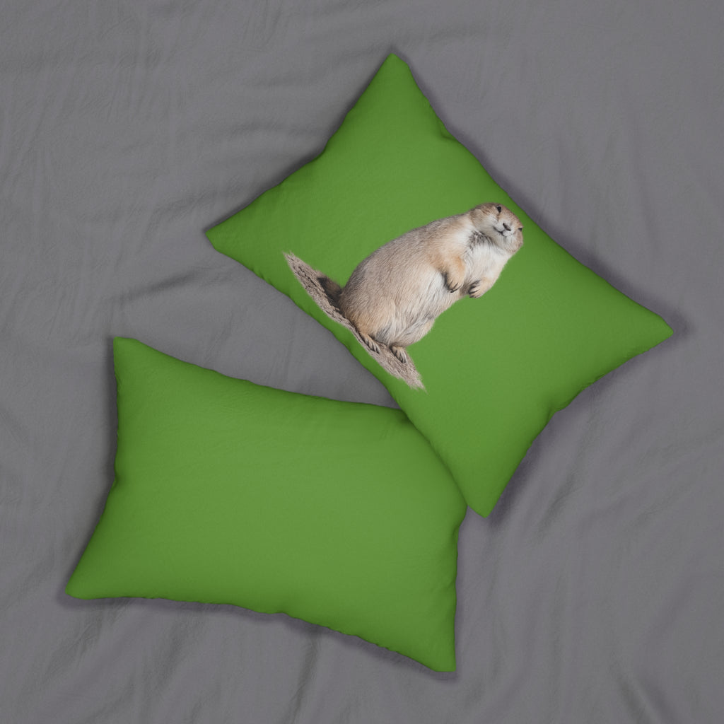 Standing Prairie Dog lumbar pillow | green background, animal decor