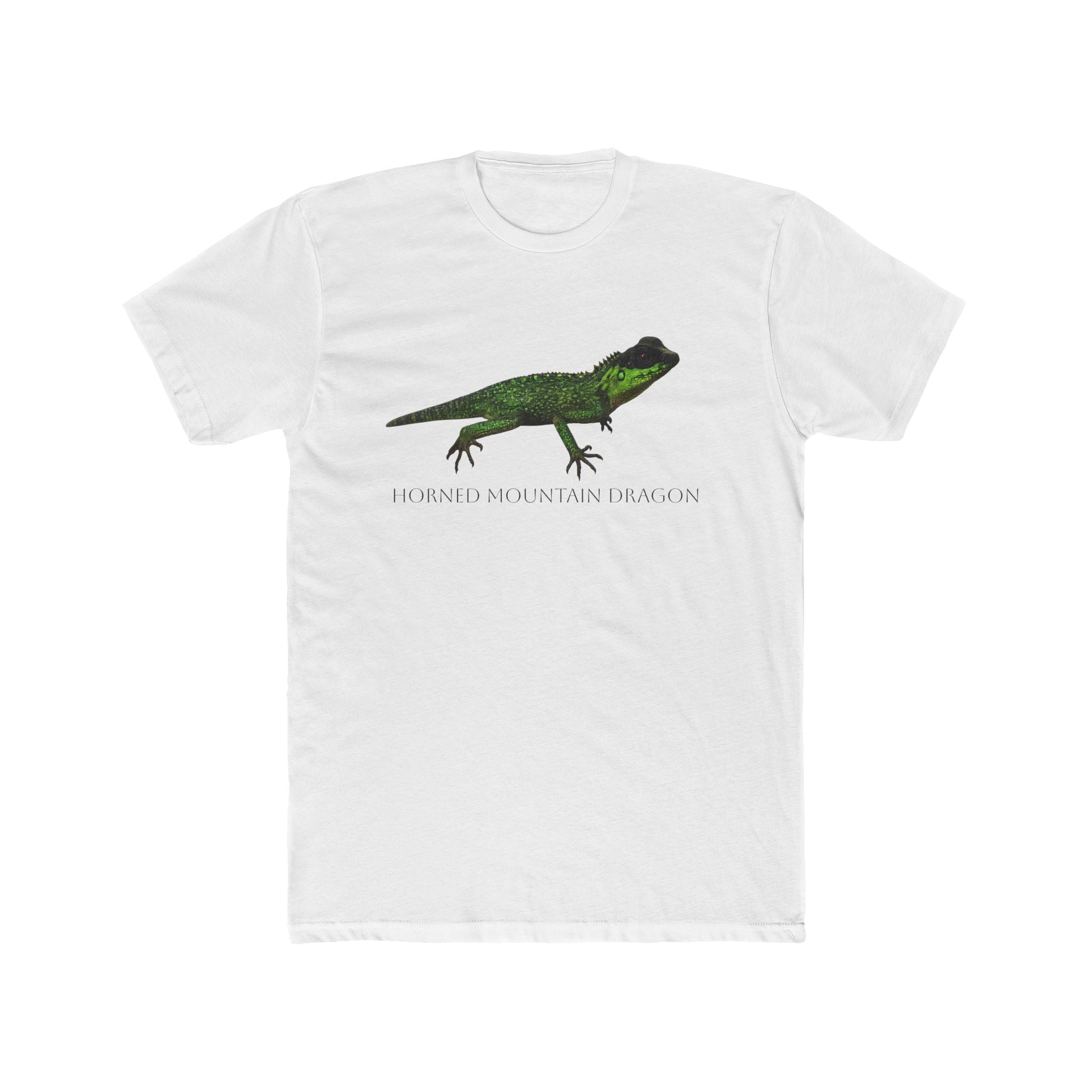 Horned Mountain Dragon Tee | Minimal Reptile Graphic Shirt
