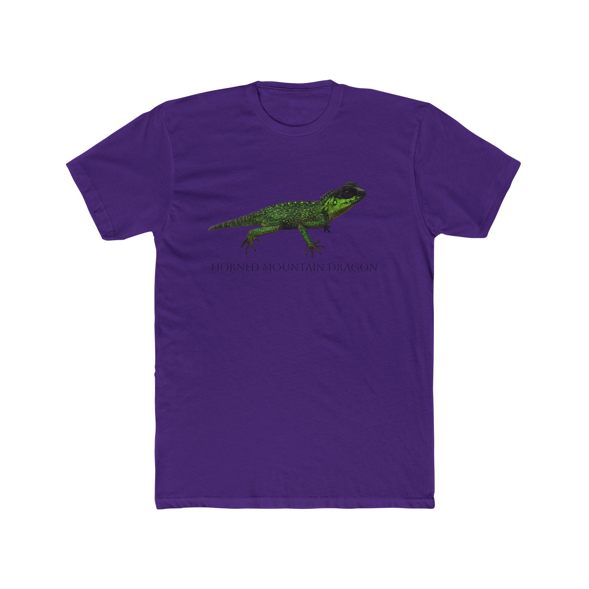 Horned Mountain Dragon Tee | Minimal Reptile Graphic Shirt